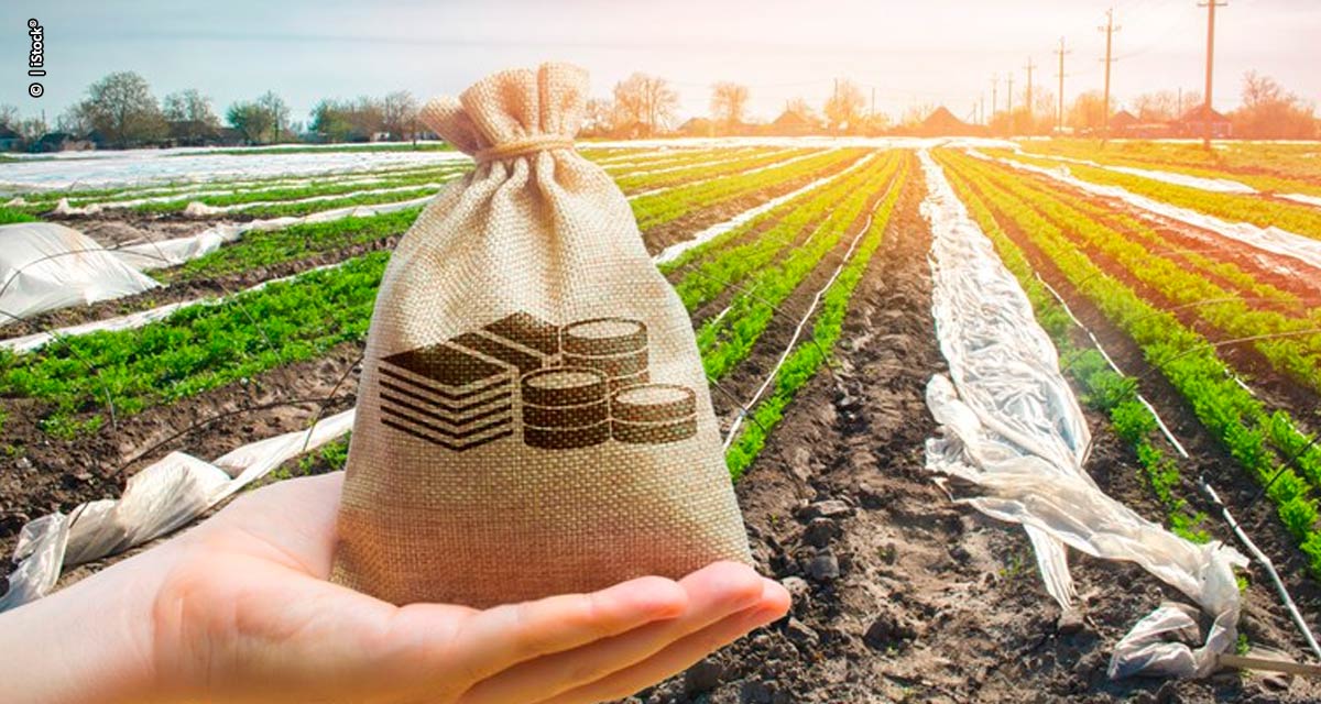 Desembolso do crédito rural soma R$ 202,8 bilhões até dezembro