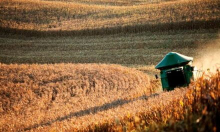 Valor da Produção Agropecuária fecha 2022 em R$ 1,189 trilhão