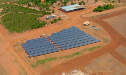 Economia e sustentabilidade: produtores rurais goianos aderem à energia solar