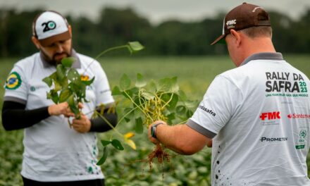 Com aumento de 19%, safra de soja é estimada em  153,4 milhões de toneladas, apesar da ameaça de clima irregular no Sul