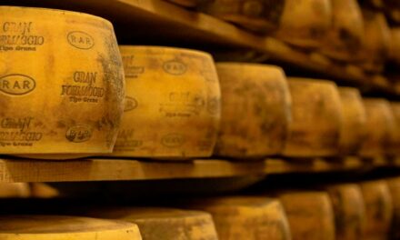 Melhor queijo parmesão do Brasil começa a ser exportado para a América Latina
