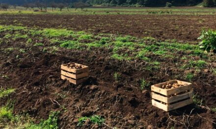 TMF Fertilizantes lança nova linha TMF.NUTBIO visando maior capacidade produtiva dos solos