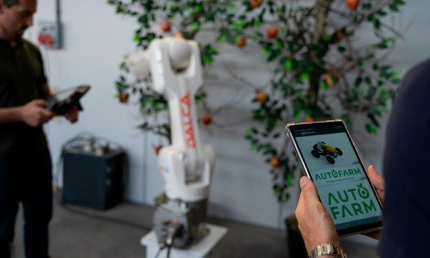 Startup gaúcha está desenvolvendo solução inovadora  para colheita de maçã