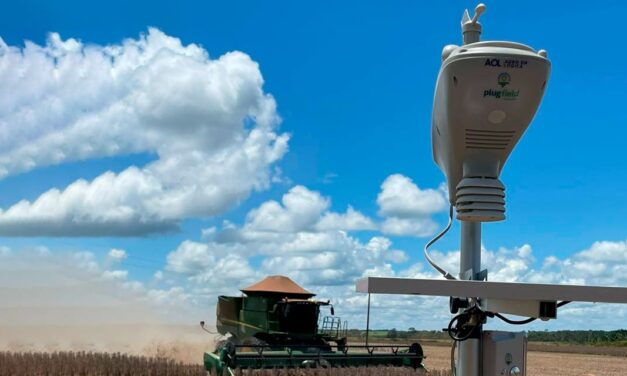 Volume de chuvas em fevereiro será crucial para a produtividade da soja e início da semeadura de milho em MT