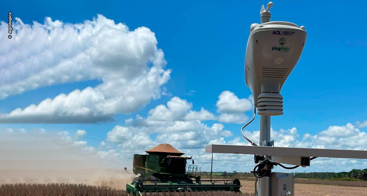 Volume de chuvas em fevereiro será crucial para a produtividade da soja e início da semeadura de milho em MT