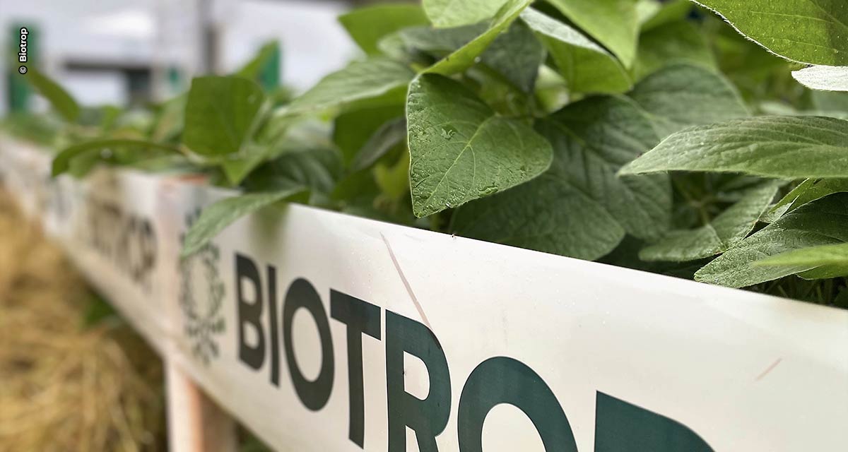 Biotrop leva tecnologias biológicas inovadoras para soja e milho ao Show Rural Coopavel