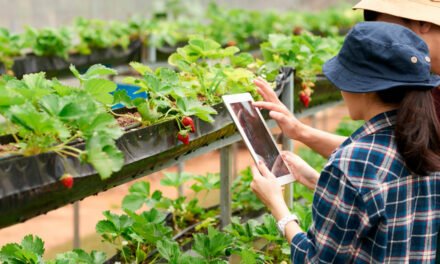 Cresce a necessidade do uso de tecnologias para impulsionar o crescimento da agricultura familiar