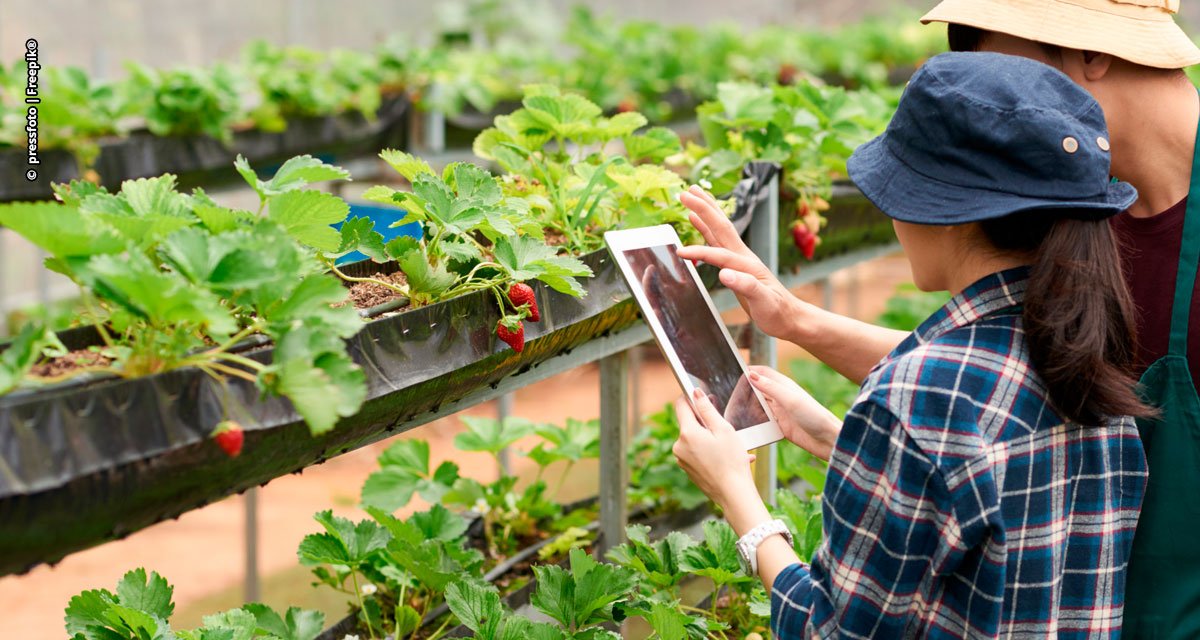 Cresce a necessidade do uso de tecnologias para impulsionar o crescimento da agricultura familiar