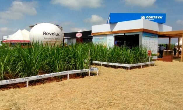 Corteva Agriscience apresenta na COPLACAMPO 2023 tecnologias para maximizar a produtividade e rentabilidade do produtor