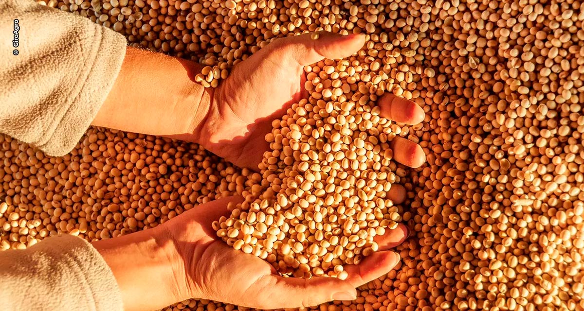 Produção de soja 2022/23 de Mato Grosso deve chegar a 42,82 milhões de toneladas