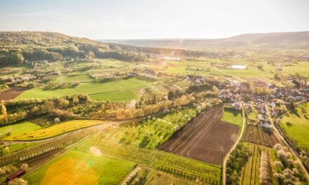 Inteligência Artificial oferece mais eficiência e agilidade ao agronegócio