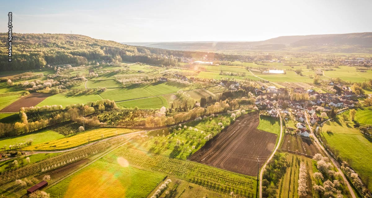 Inteligência Artificial oferece mais eficiência e agilidade ao agronegócio