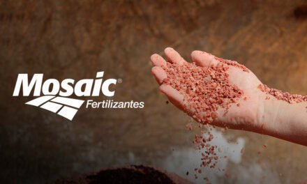 Mosaic Fertilizantes vai investir R$ 400 milhões em nova unidade de mistura em Tocantins