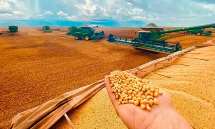 BNDES suspende 9 linhas de financiamento agropecuário: especialista aponta saída viável