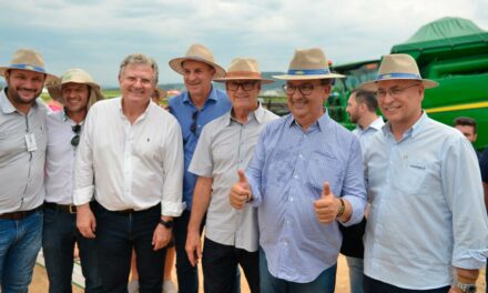 Com abertura da colheita, SindArroz-SC projeta ano de bons negócios para produtores e indústrias