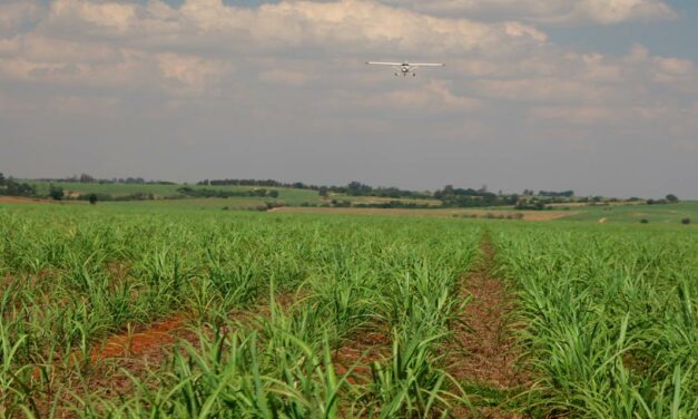 Agronegócio é um celeiro de oportunidades para a aviação