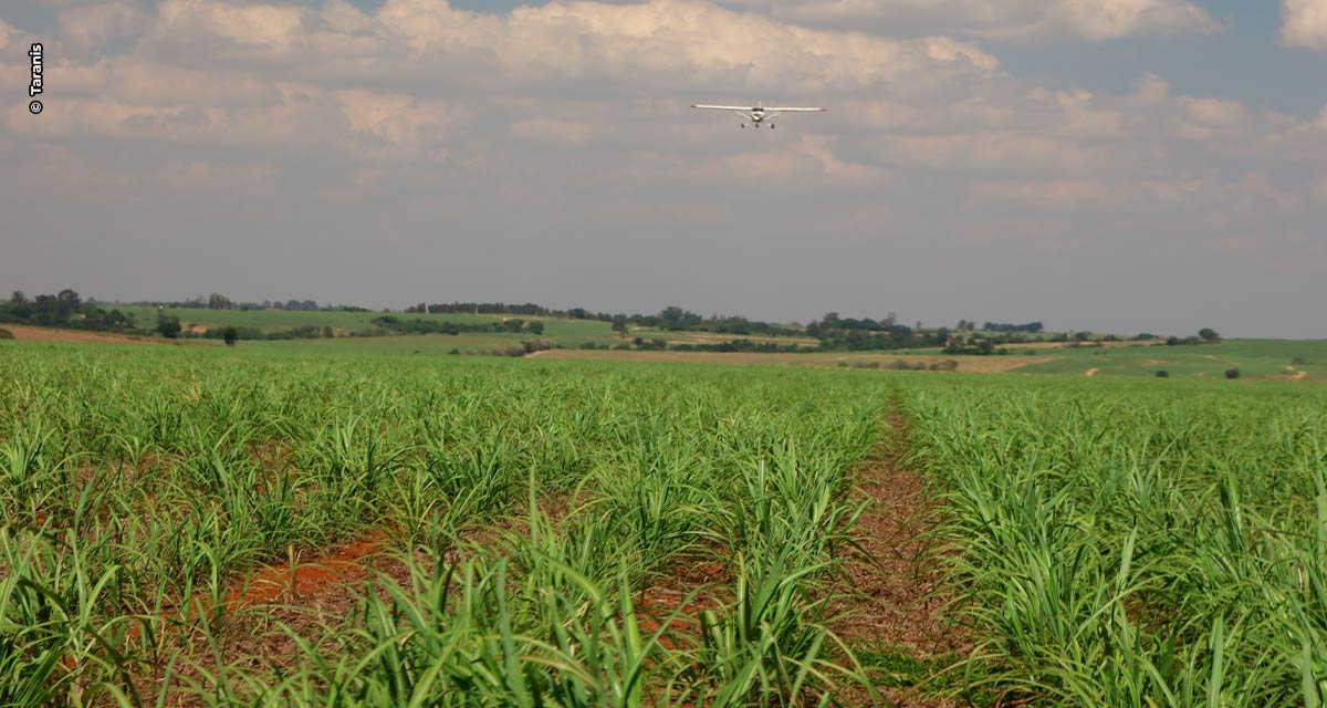 Agronegócio é um celeiro de oportunidades para a aviação