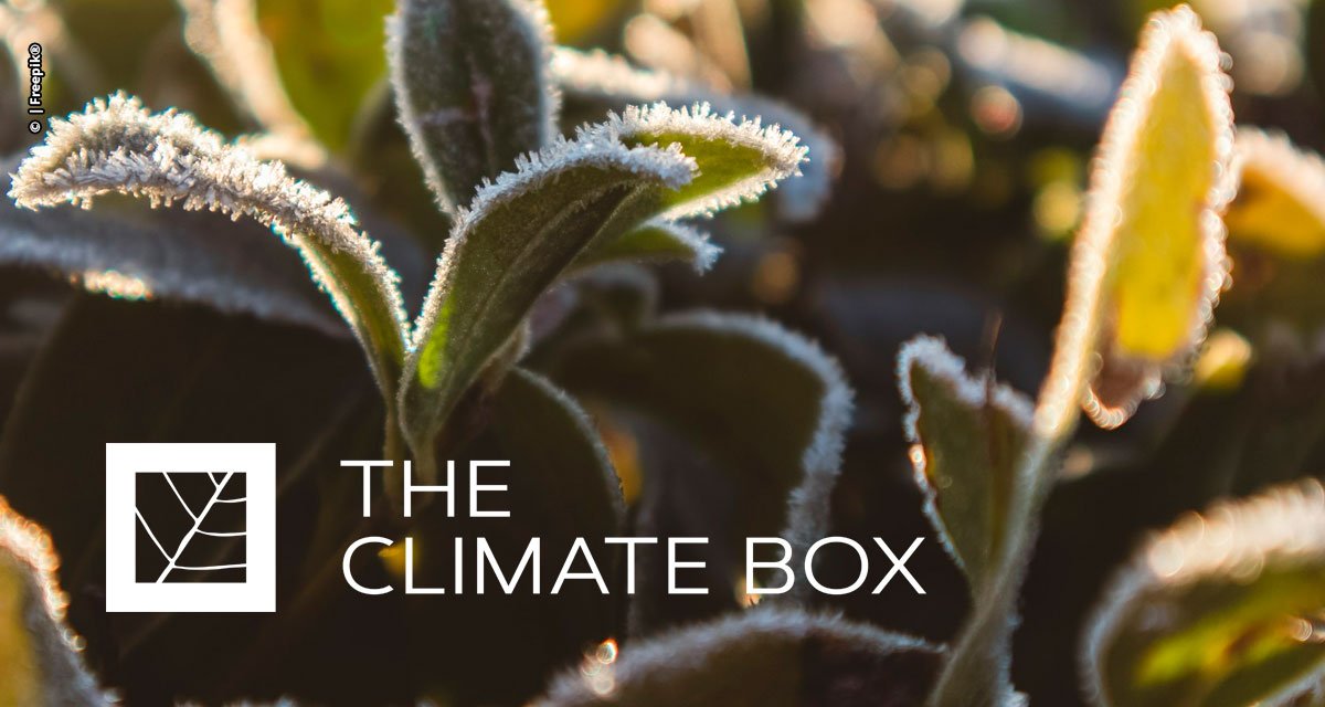 The Yield Lab Latam lidera primeira rodada de investimentos no Uruguai na agtech The Climate Box