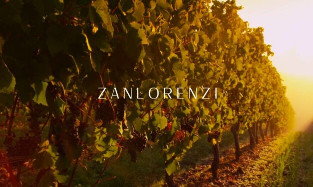 Zanlorenzi espera processar 30 mil toneladas de uvas no primeiro trimestre de 2023