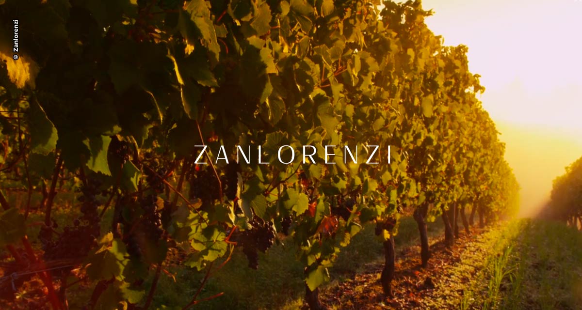 Zanlorenzi espera processar 30 mil toneladas de uvas no primeiro trimestre de 2023