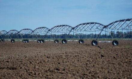 Crédito imediato alavanca projetos de irrigação