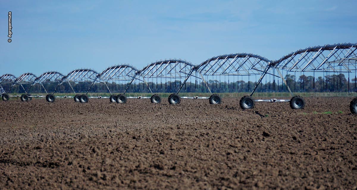 Crédito imediato alavanca projetos de irrigação
