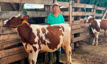 Biotecnologia é aliada dos pecuaristas para maximizar o potencial do rebanho