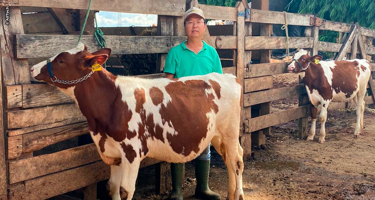 Biotecnologia é aliada dos pecuaristas para maximizar o potencial do rebanho