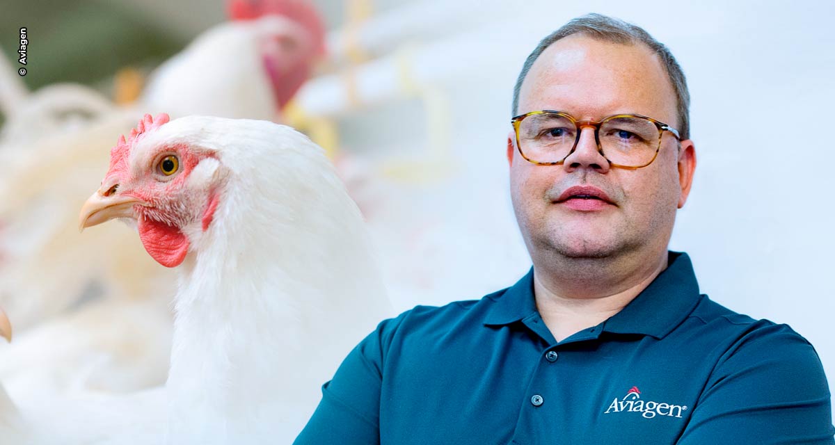 Aviagen América Latina se une à indústria avícola brasileira para discutir a Influenza Aviária na América do Sul