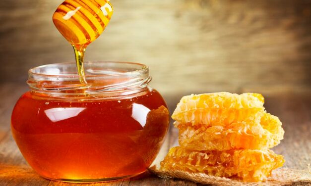 Estudo mostra que mel, além de nutritivo, pode fazer muito mais pela nossa saúde