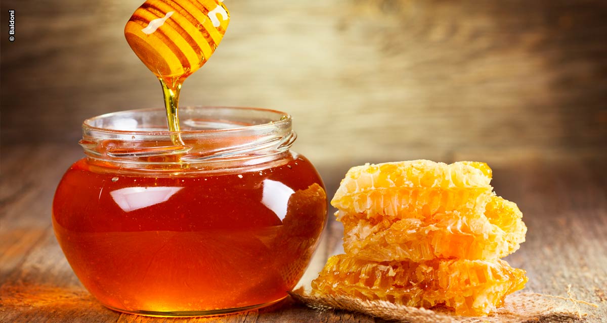 Estudo mostra que mel, além de nutritivo, pode fazer muito mais pela nossa saúde