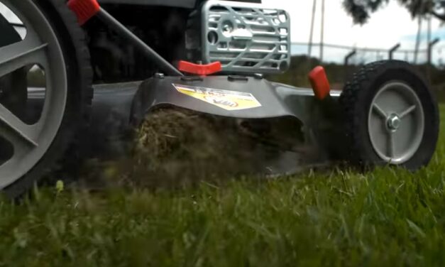 Em tempos de chuvas fortes, a grama cresce e o trabalho de manutenção de áreas verdes aumenta