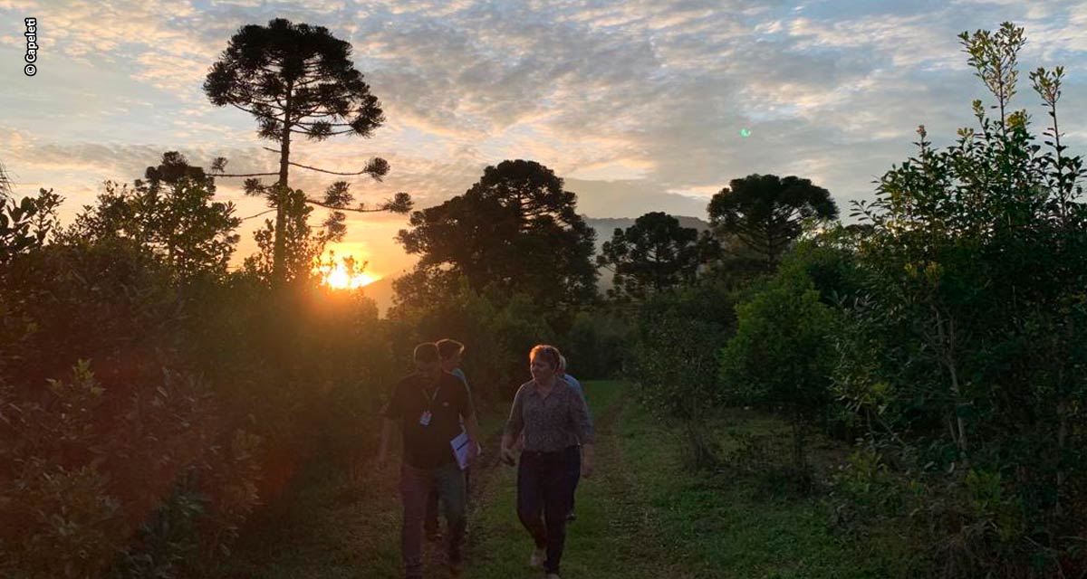 Spin-off de ervateira tradicional do Paraná, Mundo Mathe recebe turistas de todo o país