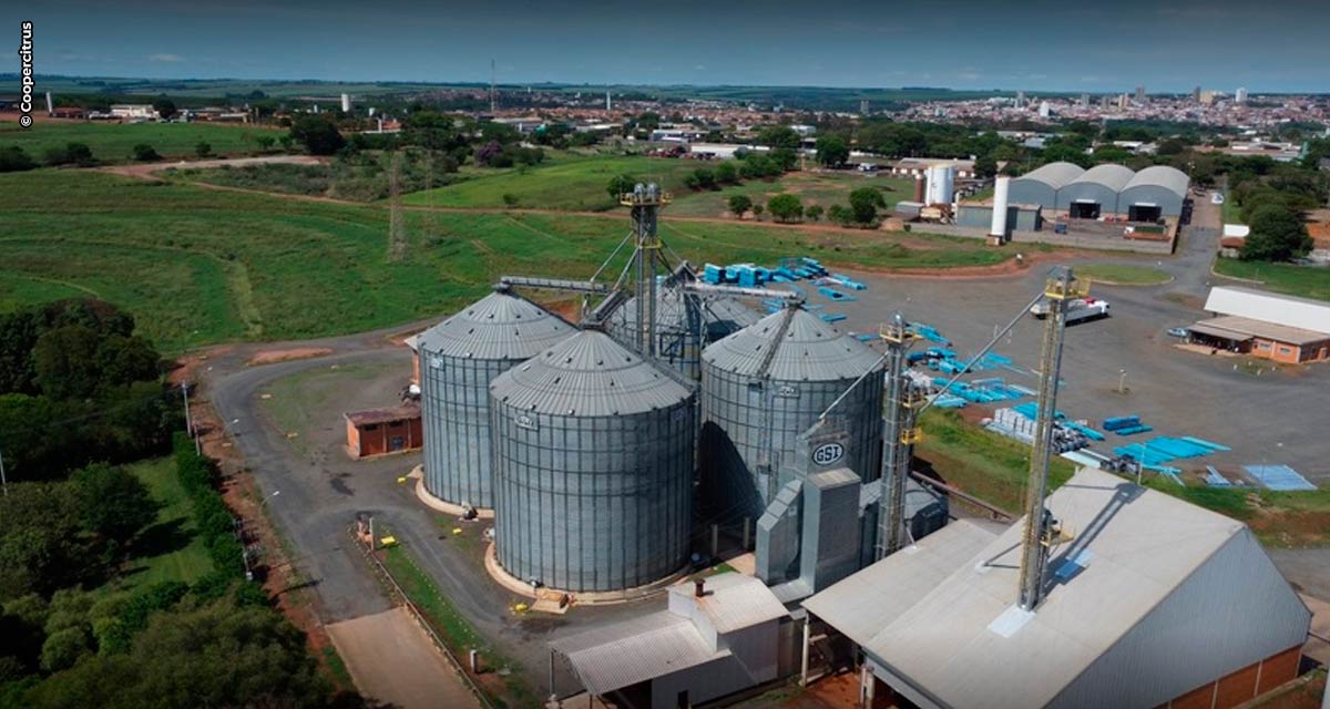 Diante do déficit de armazenagem, Coopercitrus oferece suporte completo para recebimento de grãos