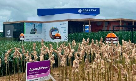 Corteva Agriscience leva inovações em sementes, proteção de cultivos e biológicos ao Show Safra 2023