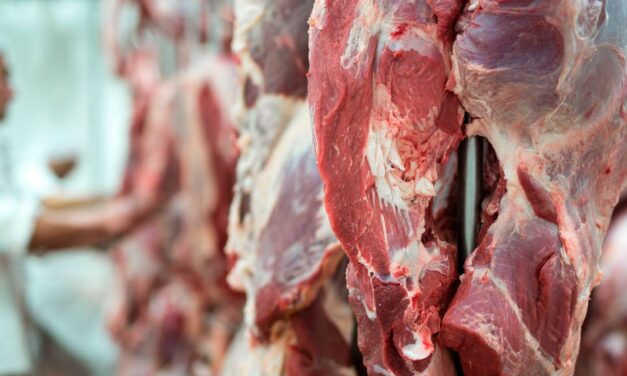 Mercado espera que a exportação de carne bovina do Brasil para China será retomada ainda este mês