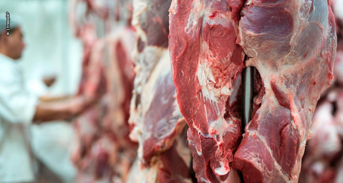 Mercado espera que a exportação de carne bovina do Brasil para China será retomada ainda este mês