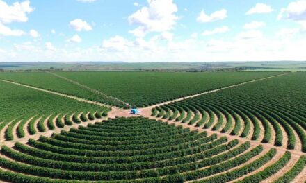 Adjuvante com alta tecnologia será apresentado à cafeicultores da Alta Mogiana