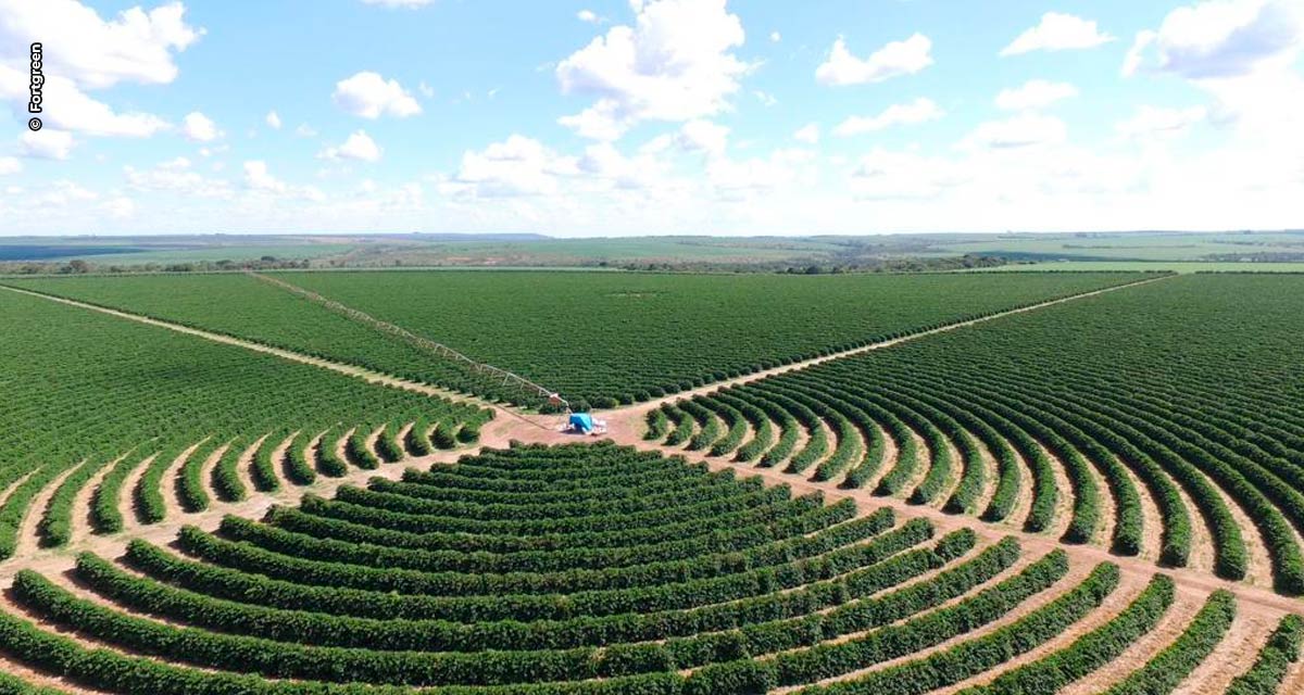 Adjuvante com alta tecnologia será apresentado à cafeicultores da Alta Mogiana