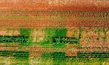 Treinamento ajuda na tomada de decisão para o controle das plantas daninhas