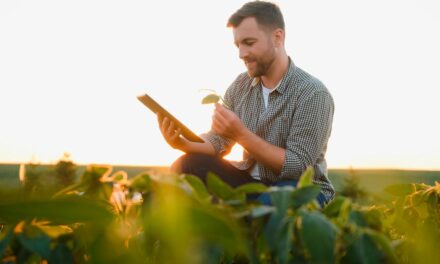 Agtech Grão Direto potencializa comércio de soja, milho e sorgo no Tocantins com nova solução