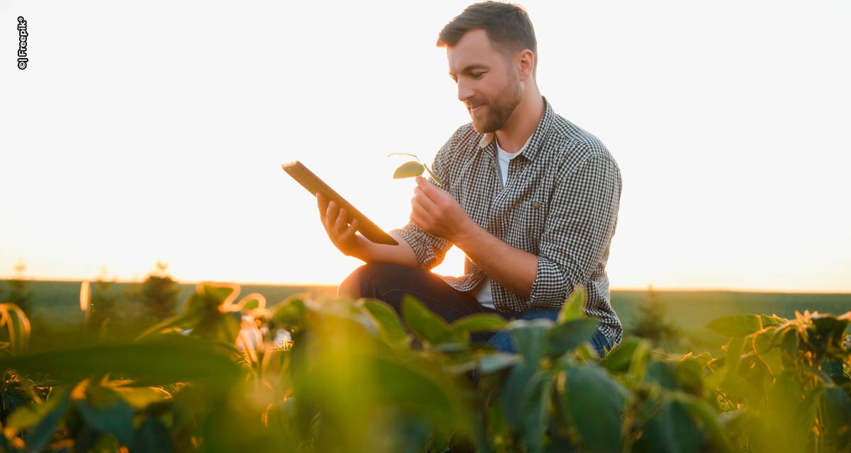 Agtech Grão Direto potencializa comércio de soja, milho e sorgo no Tocantins com nova solução