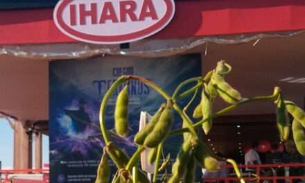 Fungicida com tripla ação inédita para soja é destaque IHARA na Expodireto Cotrijal 2023