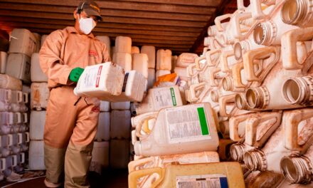 inpEV reforça medidas importantes para a destinação correta de embalagens vazias de defensivos agrícolas