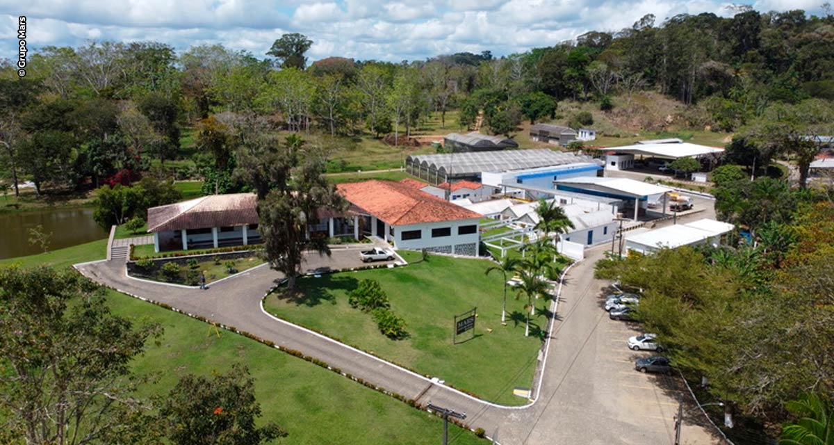 Centro de Ciência do Cacau da Mars, na Bahia, recebe visita de estudantes norte-americanos