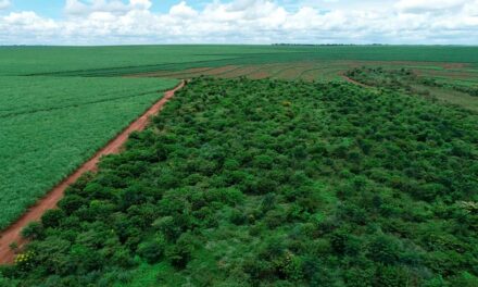 Regularização ambiental oferece benefícios para produtor rural