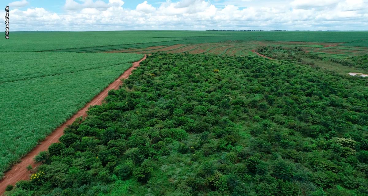 Regularização ambiental oferece benefícios para produtor rural