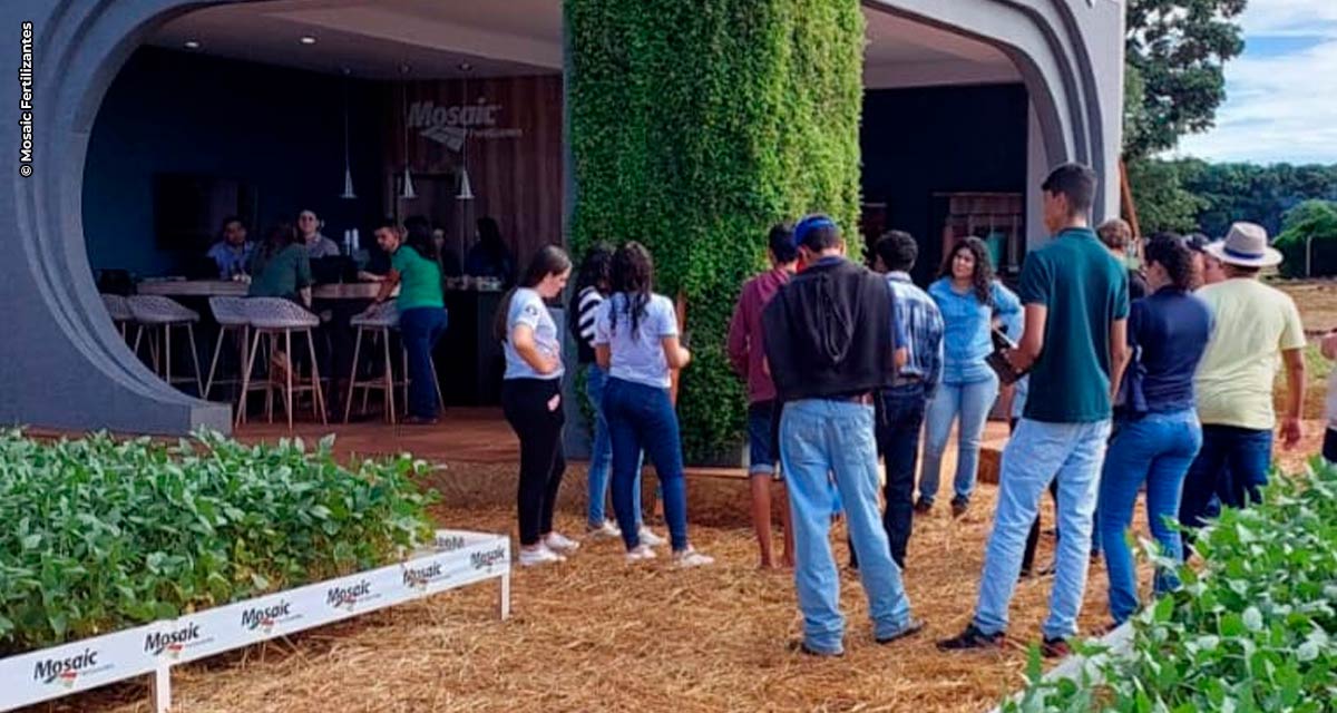 Inovação tecnológica para ganhos na produção de alimentos é destaque no Show Safra