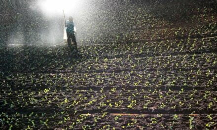 Empresa de fertilizantes e insumos agropecuários tem crescimento recorde após estratégia de regionalização de vendas