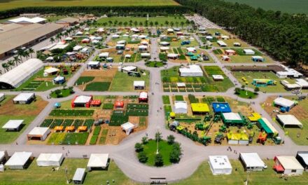 Venha aí o Agro Rosário: Feira destaca potencial agrícola do Oeste da Bahia